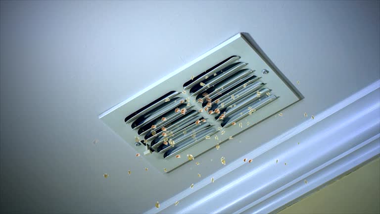 Best Air Duct Cleaning Near Me  in Rainbow Park, FL