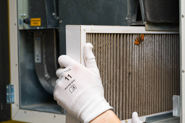 Best Duct Cleaning for Offices  in Rainbow Park, FL