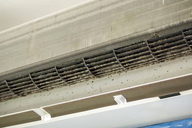 Best Local Air Duct Cleaning Services  in Rainbow Park, FL